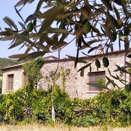 Villa Tenuta Rara Avis Rocca Imperiale Exterior foto