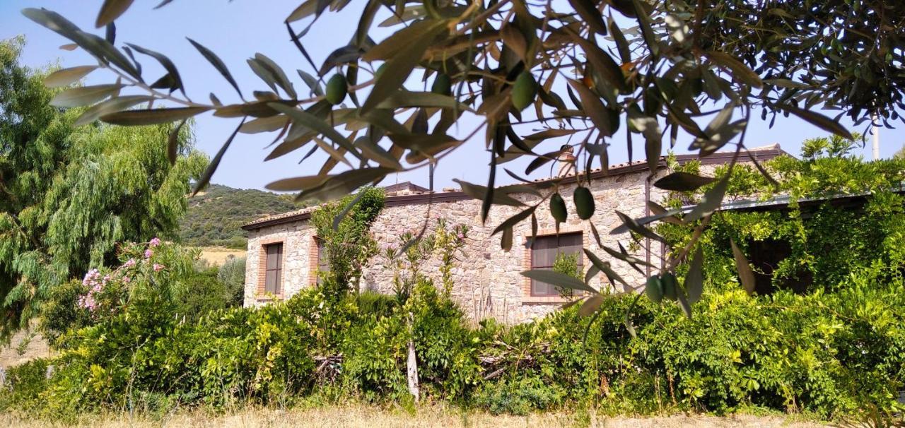 Villa Tenuta Rara Avis Rocca Imperiale Exterior foto